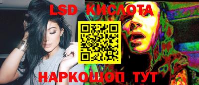 гидропоника Пенза