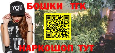 гидропоника Пенза