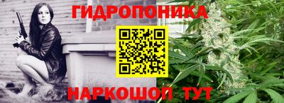 гидропоника Пенза