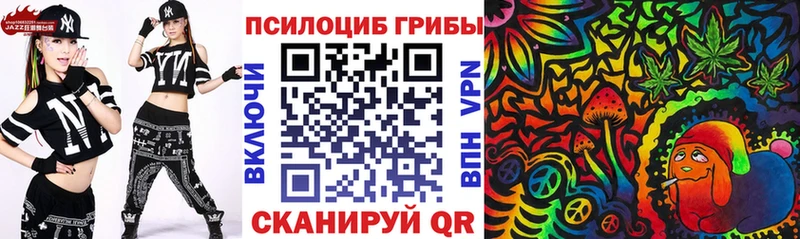 дарнет шоп  Троицк  Галлюциногенные грибы Psilocybe 