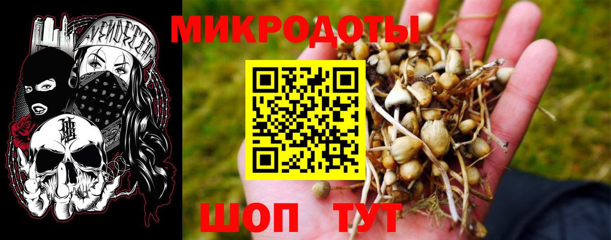 Псилоцибиновые грибы Magic Shrooms Троицк