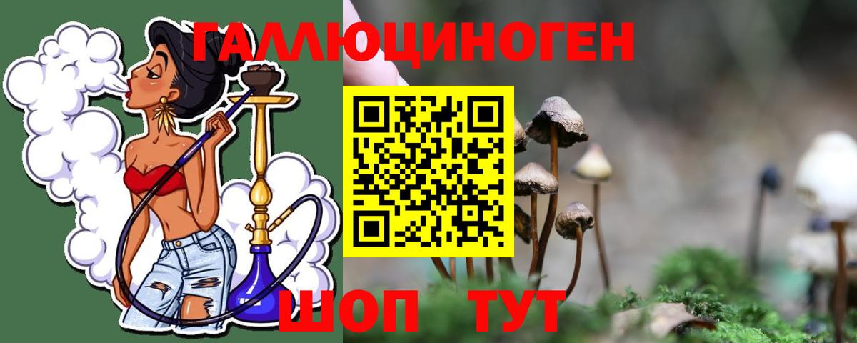 Троицк  Галлюциногенные грибы Magic Shrooms  Вход с VPN 